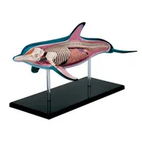 Delfin